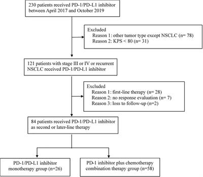 Clinical Outcomes for PD-1 Inhibitor Plus Chemotherapy as Second-Line or Later Therapy Compared to PD-1/PD-L1 Inhibitor Alone in Advanced Non-small-cell Lung Cancer